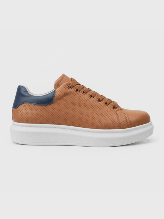 Apollo Moda Men's Pluto Terra brown leather casual sneaker with navy accents, main product photo